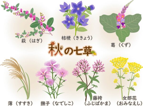 秋の七草